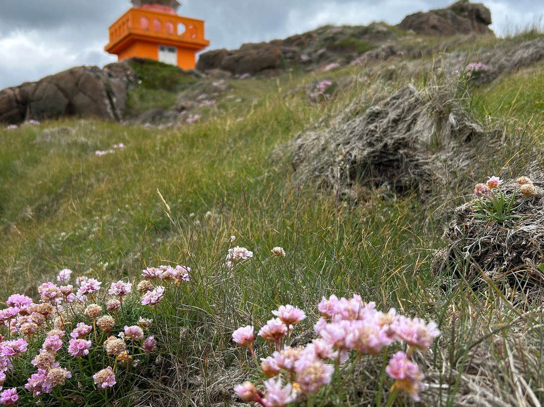 Aeoarstein Lighthouse-Djupivogur必去景点