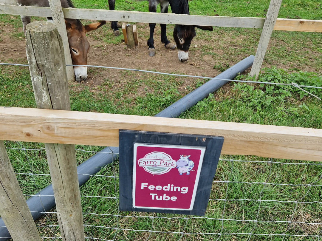 Foxholes Farm Shop & Butchery-Hertford必去景点