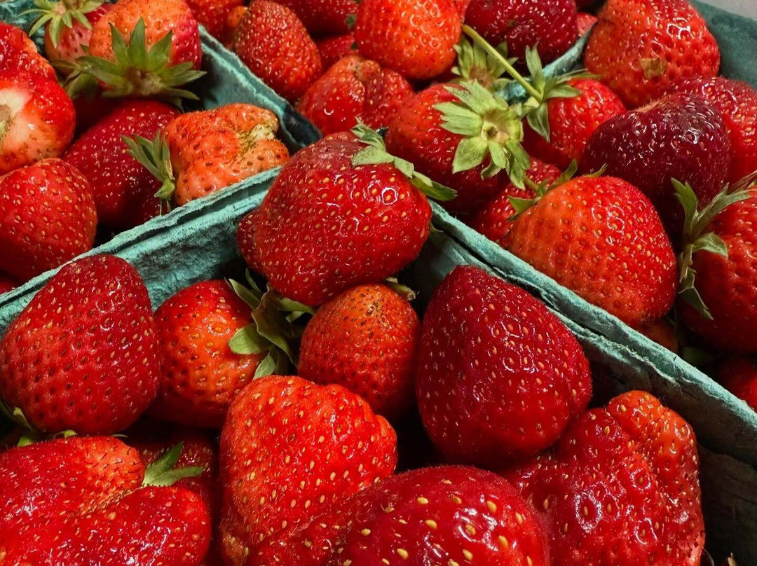 Gatewood Vegetable Farm & Greenhouses, Inc.-Noblesville必去景点