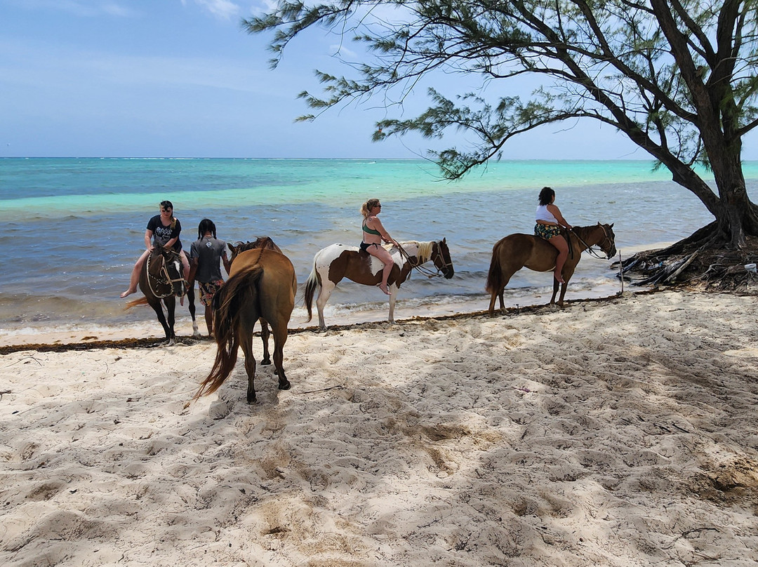 Spirit of the West-西湾必去景点