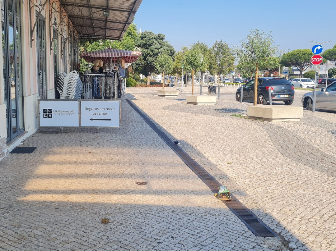 Mercado Engenheiro Silva-菲盖拉达福什必去景点