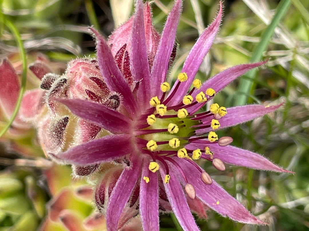 La Maison de Gaudissard主图