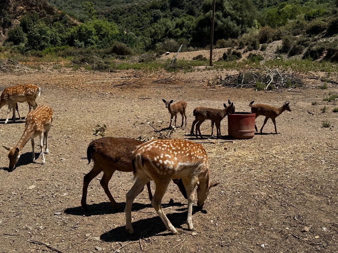Botanical Park & Gardens of Crete-Omalos必去景点
