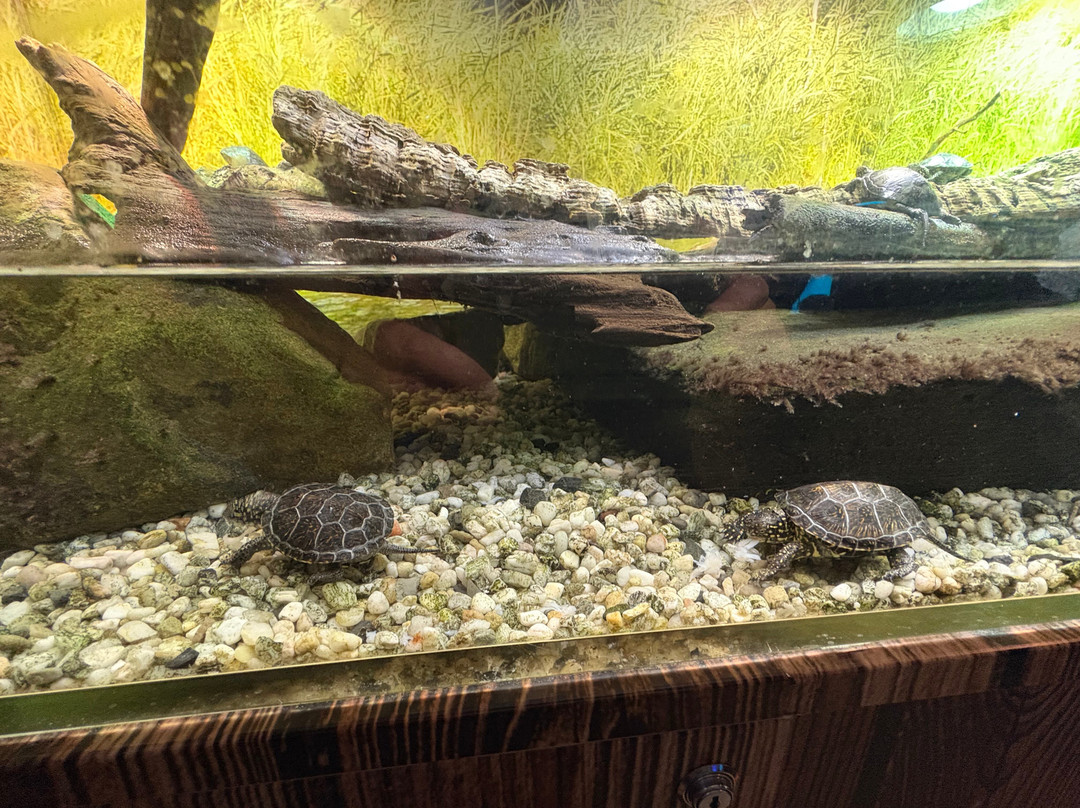 SEA LIFE Speyer-施派尔必去景点