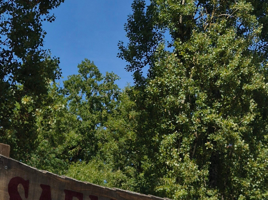 Reserve De Beaumarchais - Safari Train-Autreche必去景点