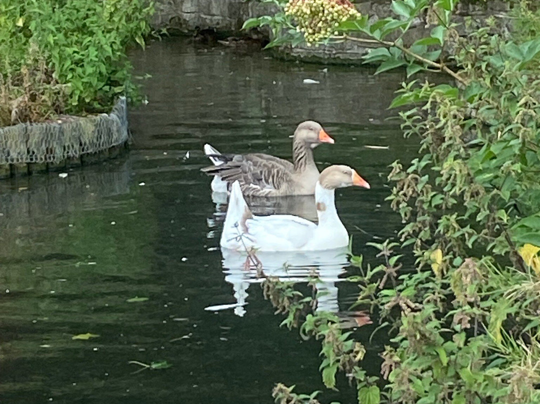 Brockswood Animal Sanctuary-Dudley必去景点