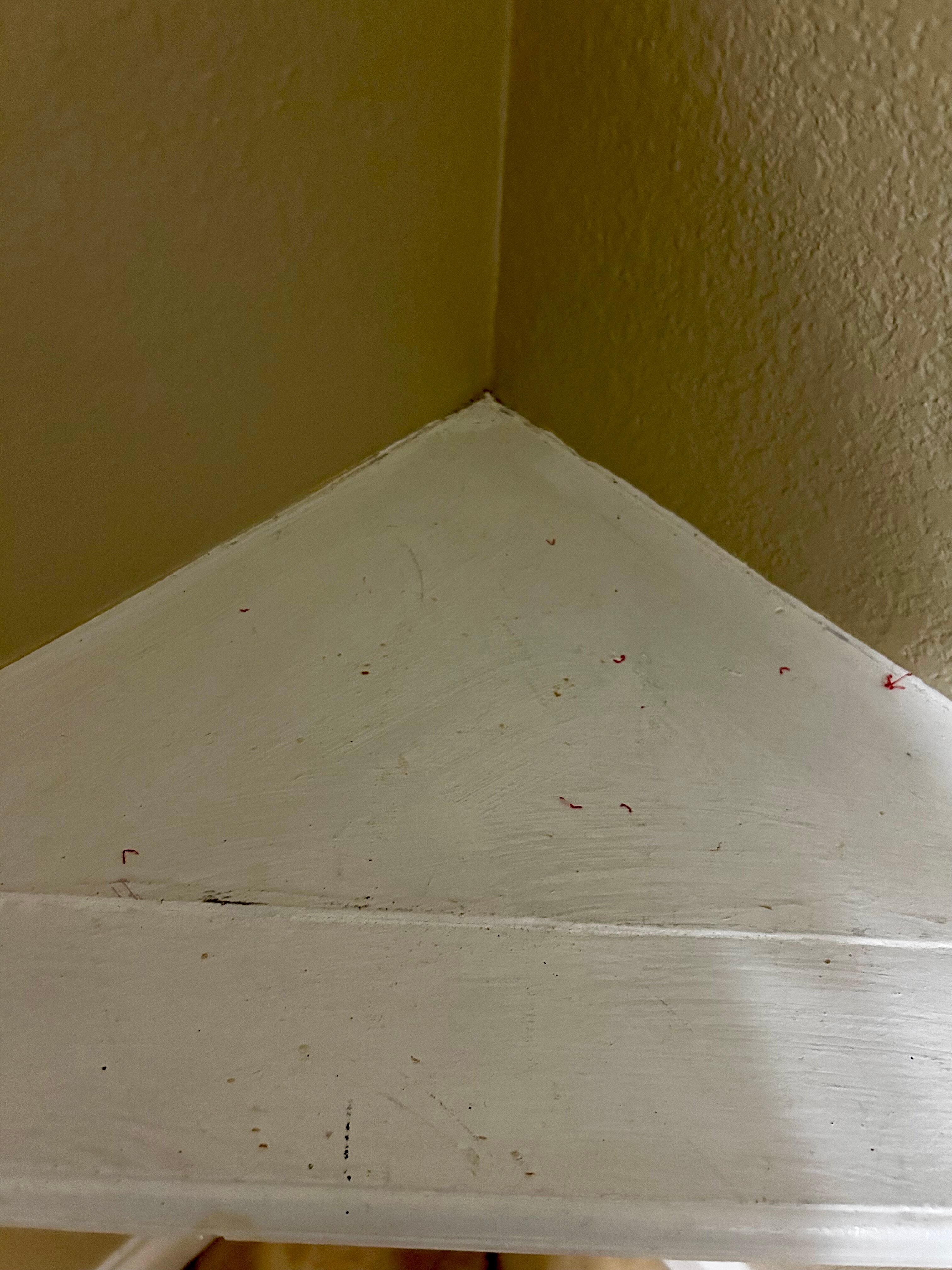 Cape Hatteras Motel-官方