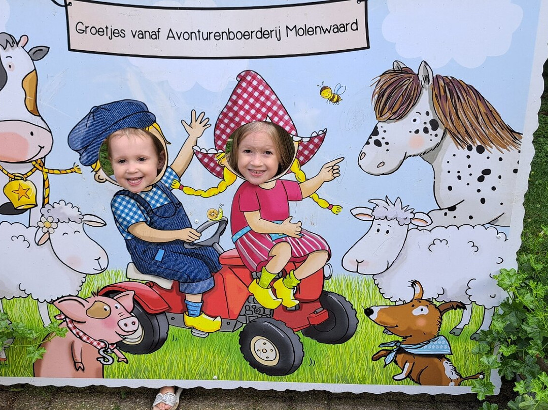 Avonturenboerderij Molenwaard-Groot-Ammers必去景点