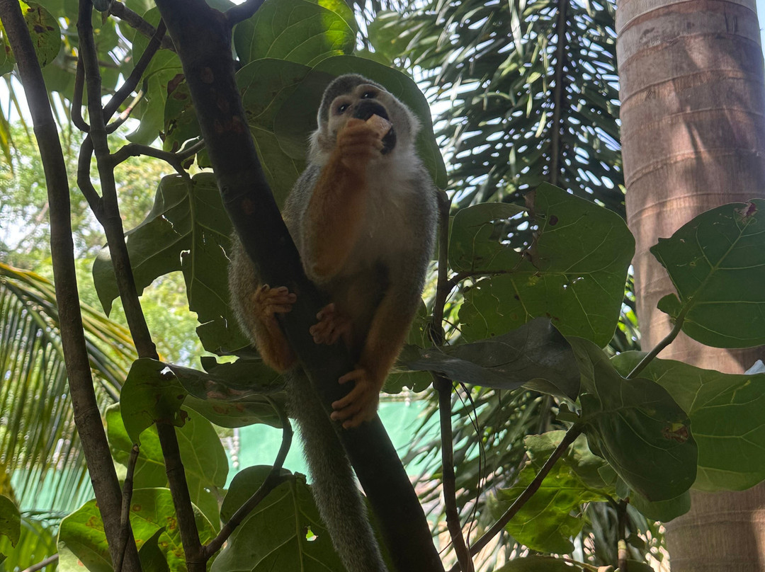 Runners Adventures-普拉塔港必去景点