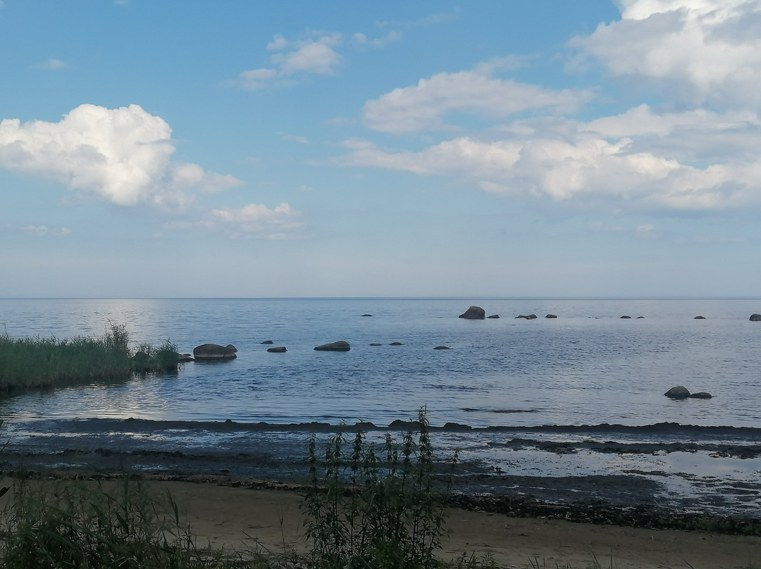 Altja Tavern-Altja必去景点