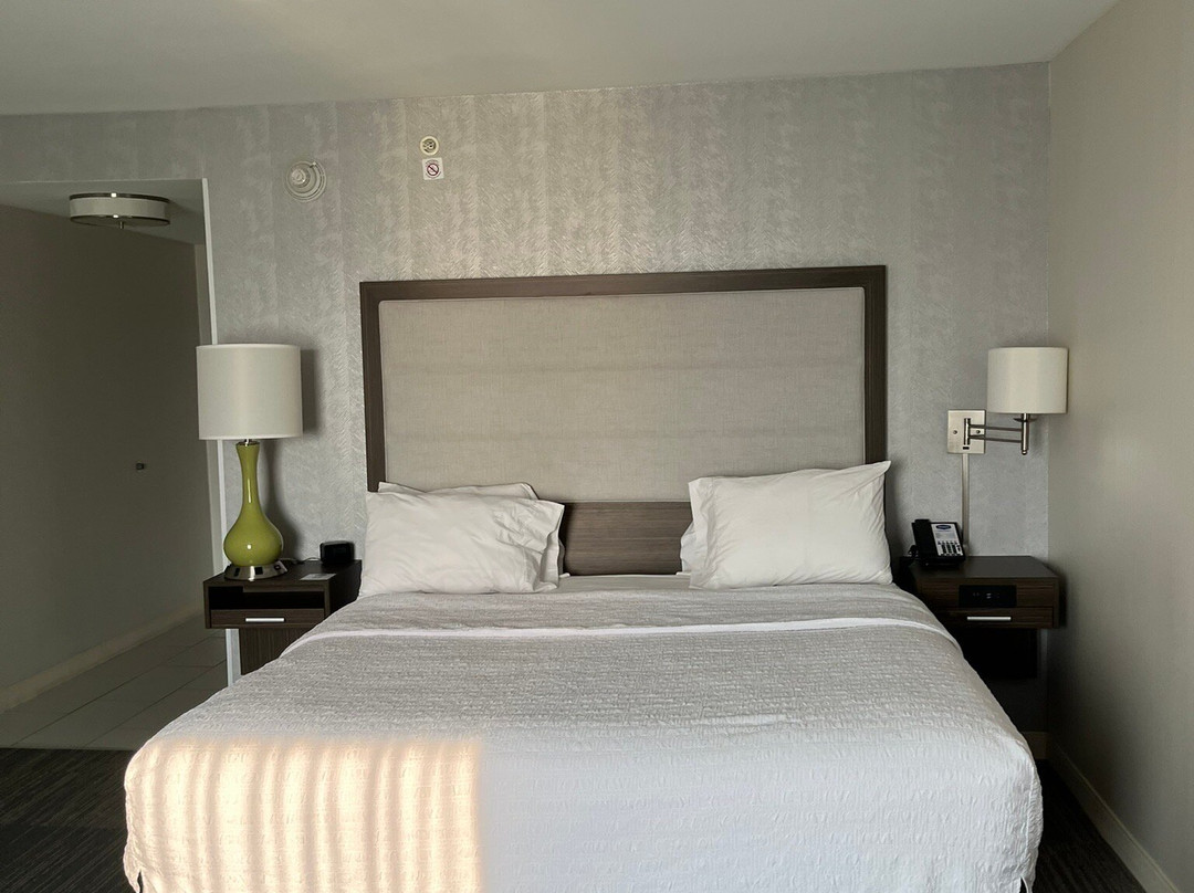 Hampton Inn & Suites Albany/east Greenbush主图
