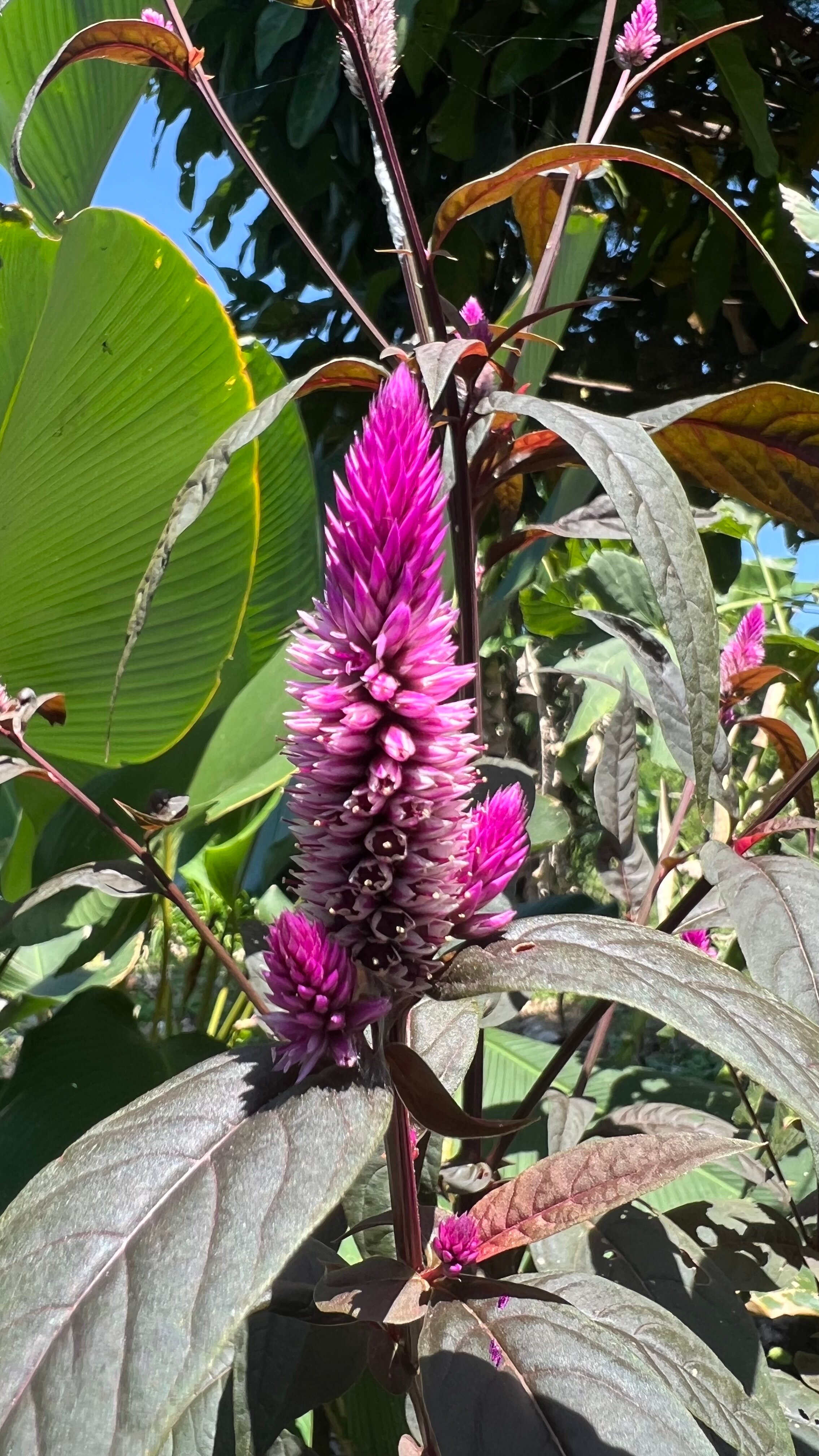 Yabbiekayu Eco-Bungalows-浴室