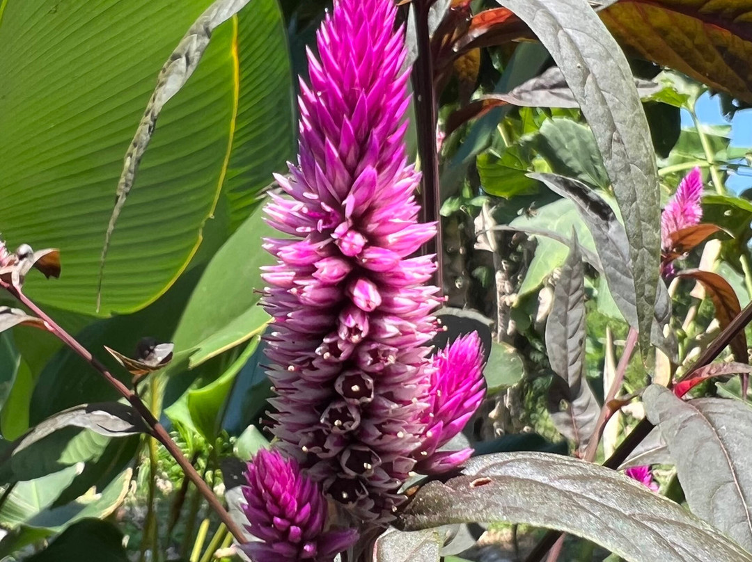 Yabbiekayu Eco-Bungalows主图