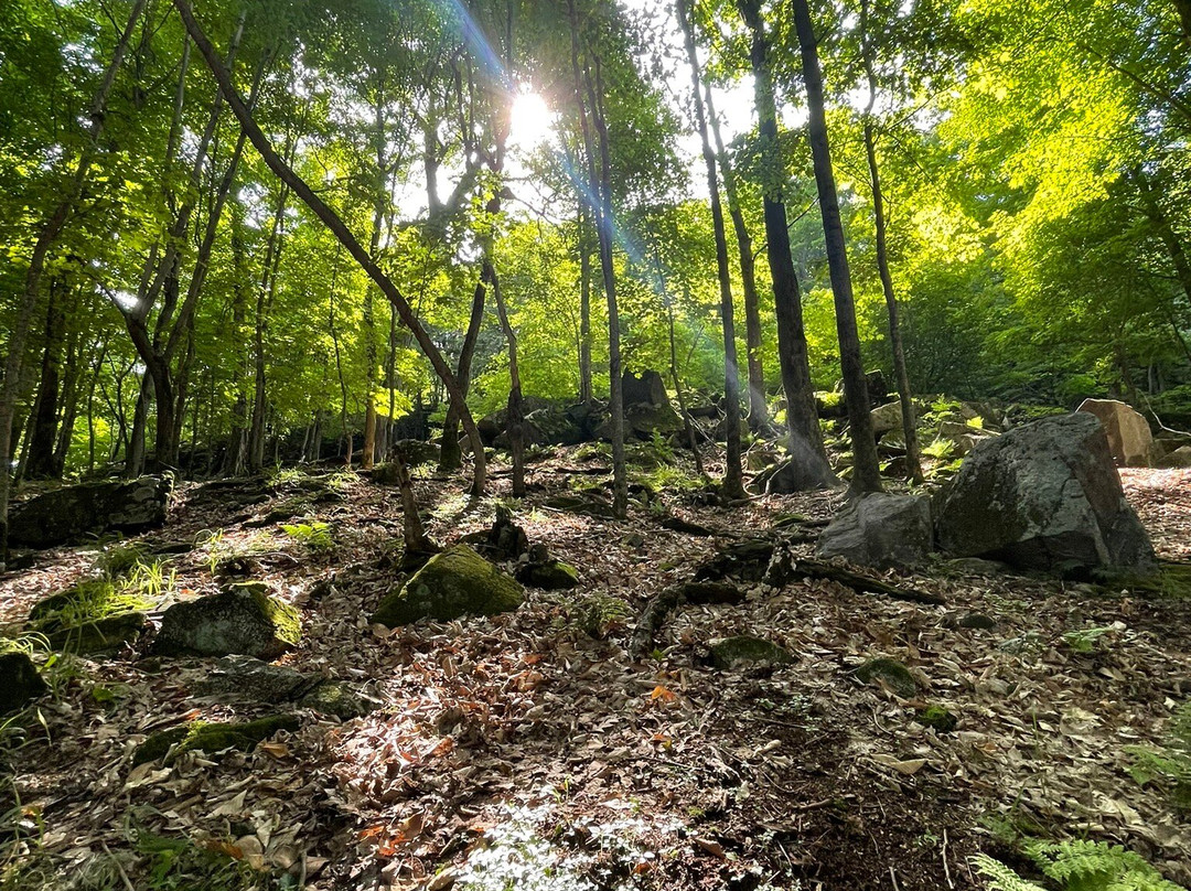 Centre de la Nature du Mont Saint-Hilaire-Mont-Saint-Hilaire必去景点