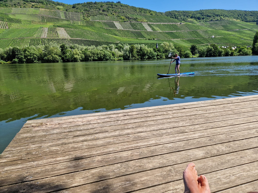 Moselcamping Bernkastel