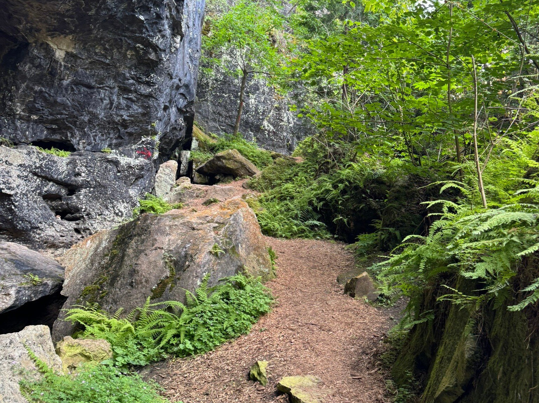 Greig's Caves-布鲁斯半岛必去景点
