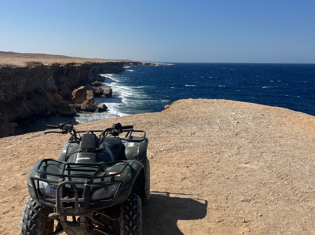 Trip Adventure-赫尔格达必去景点