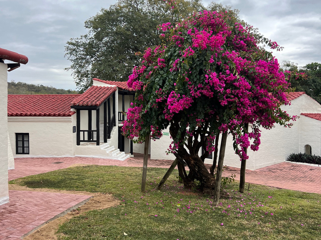 ANEW Resort Hazyview Kruger Park主图