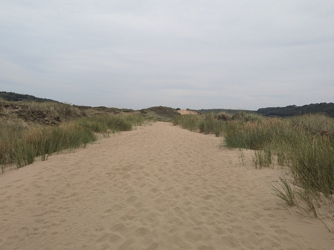 Merthyr Mawr Sand Dunes-布里真德必去景点