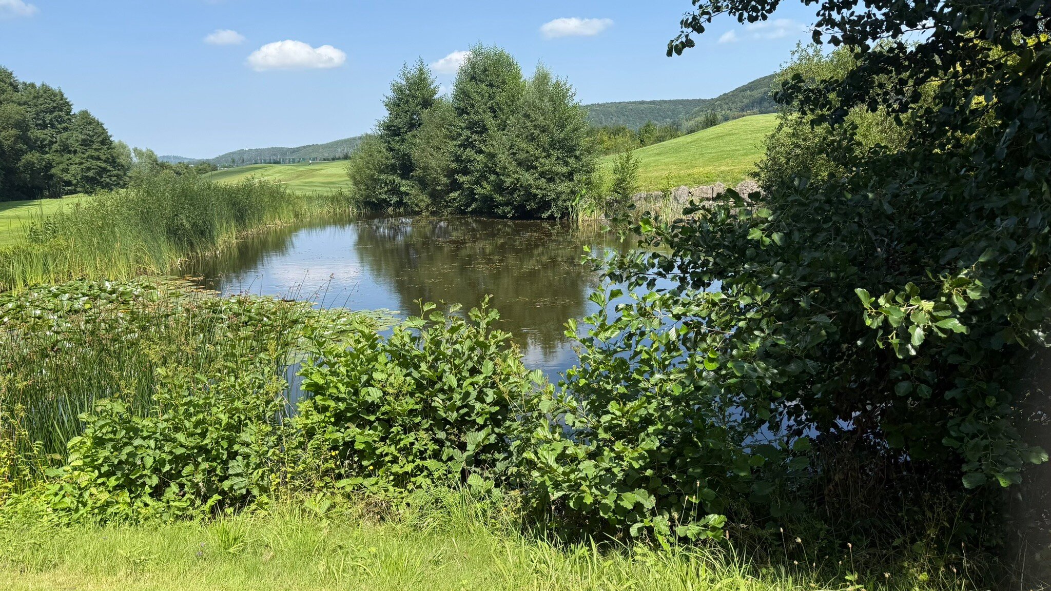 Spa & GolfResort Weimarer Land-官方