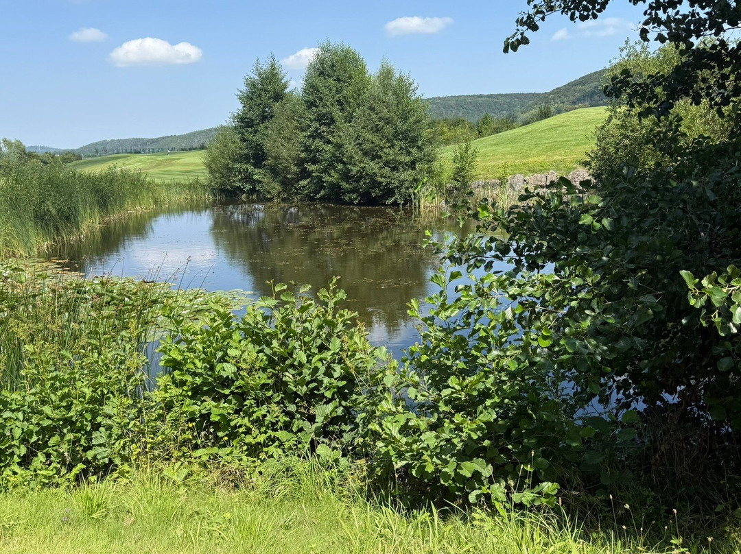 Spa & GolfResort Weimarer Land主图