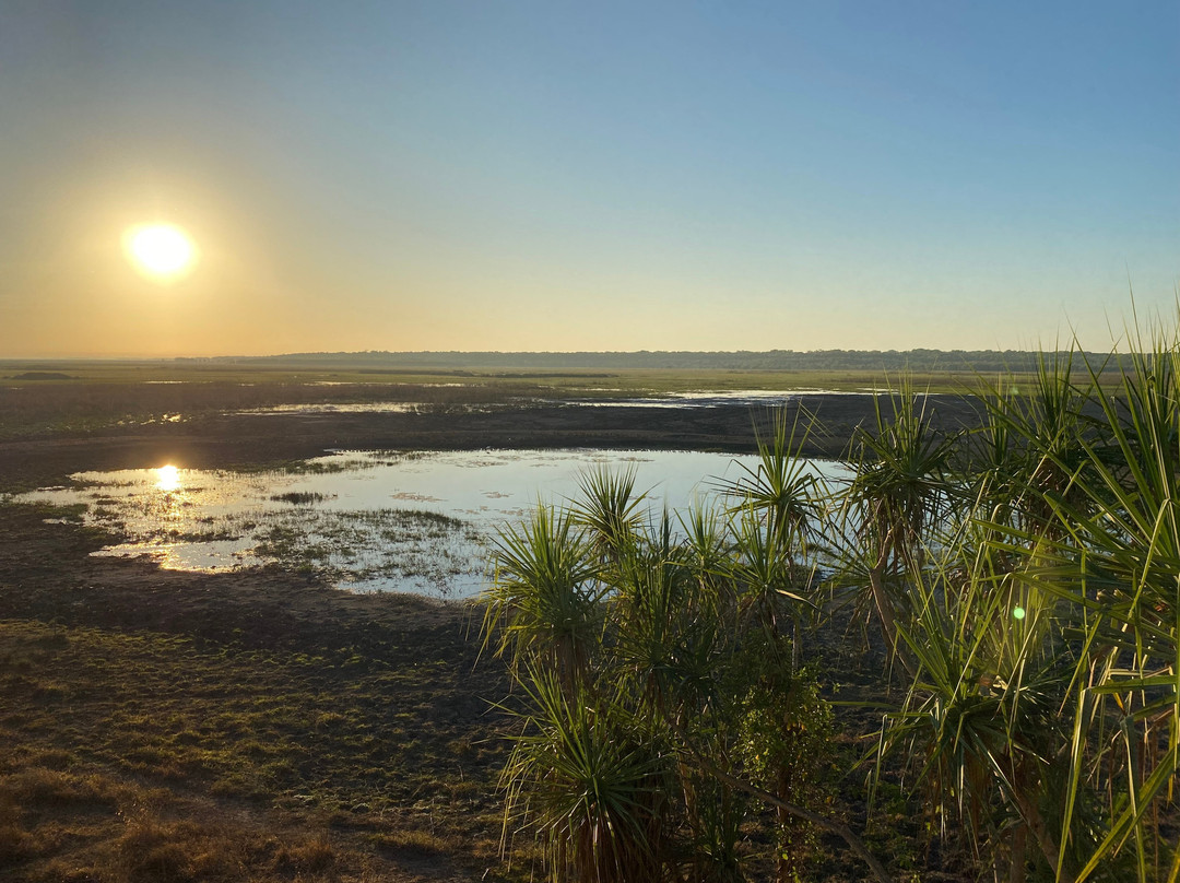 Litchfield Escapes-达尔文市必去景点