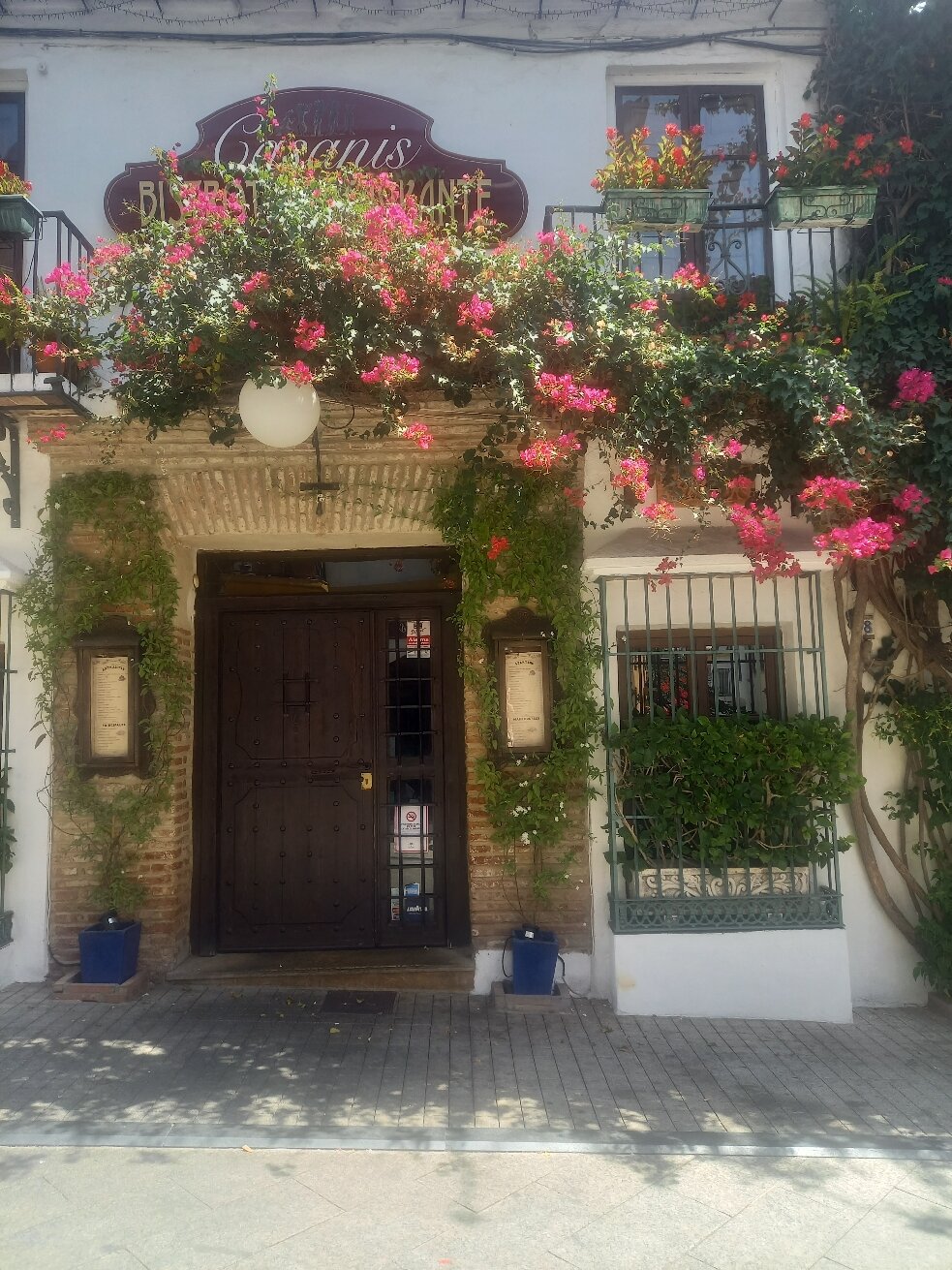 Princesa Playa Aparthotel-官方