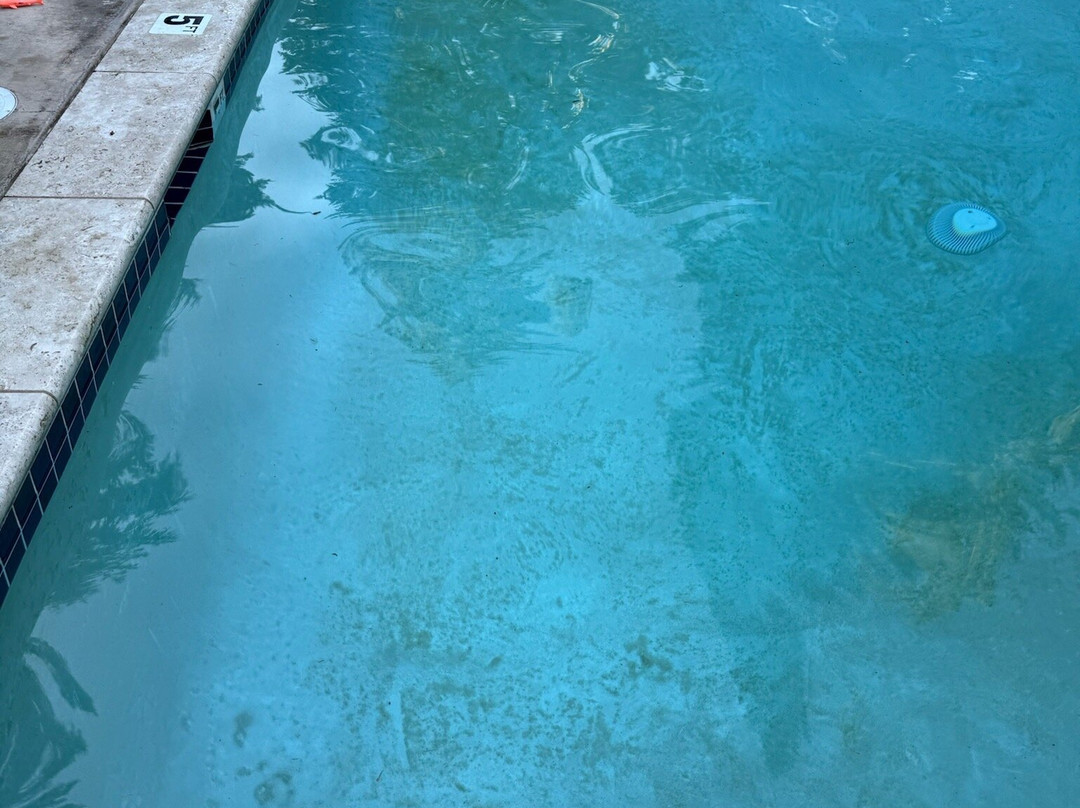 LOGE Alta Crystal主图