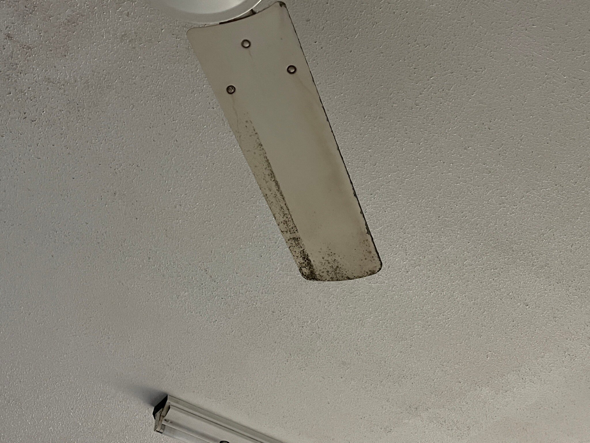 凯恩斯假日旅馆-官方