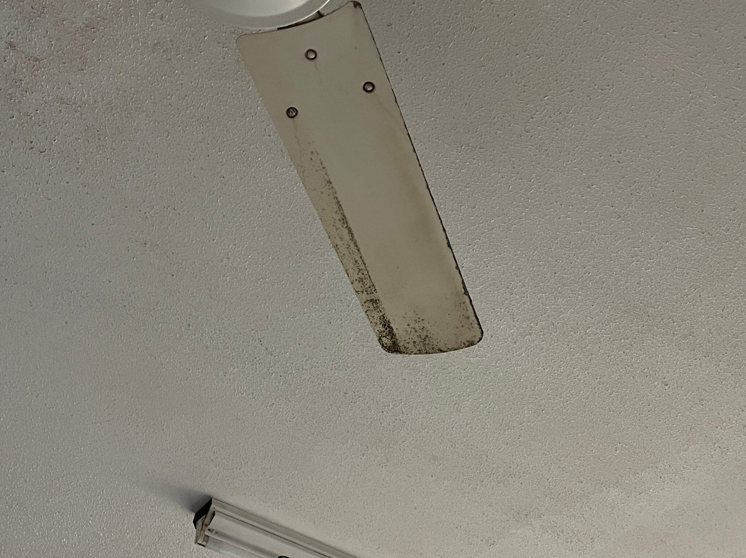 凯恩斯假日旅馆主图