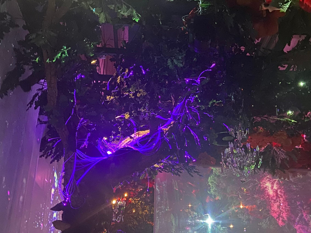 Wonderwoods Restaurant - Ephemera