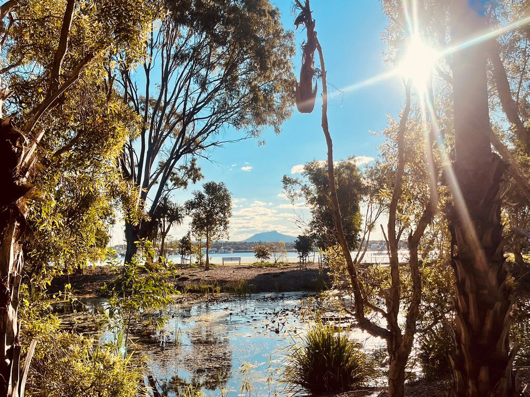 Spinnaker Park-Gladstone必去景点