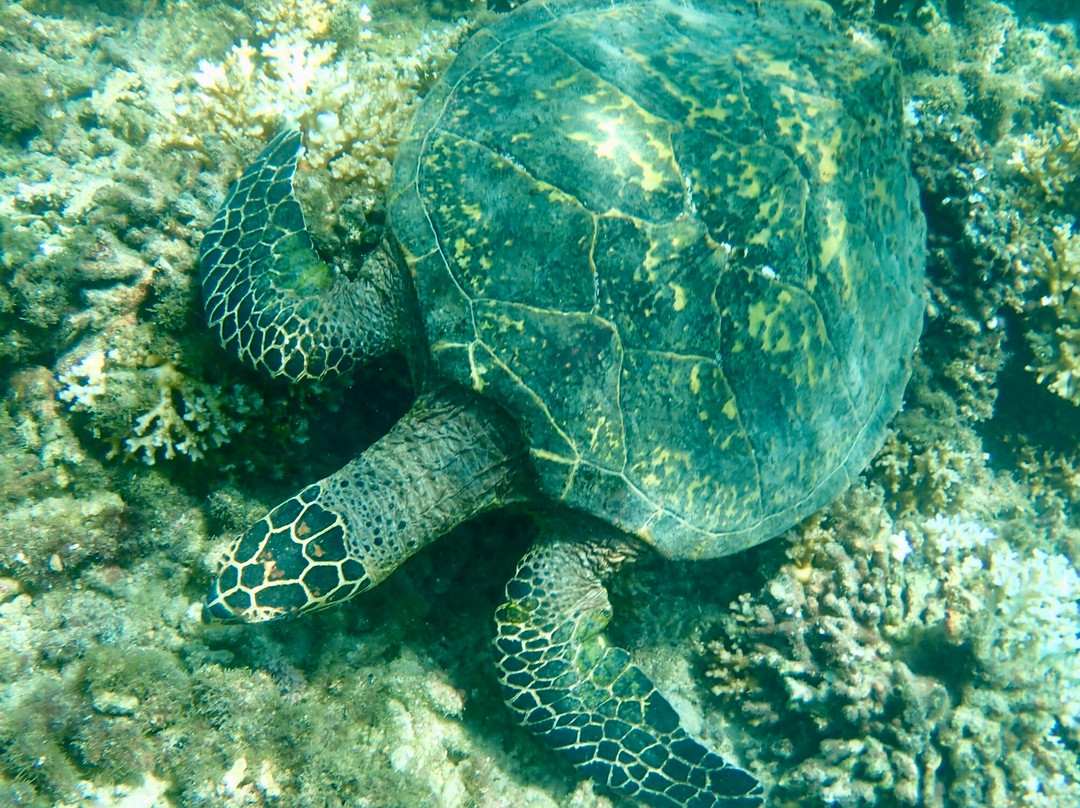 Premier Coiba Tours-Santa Catalina必去景点