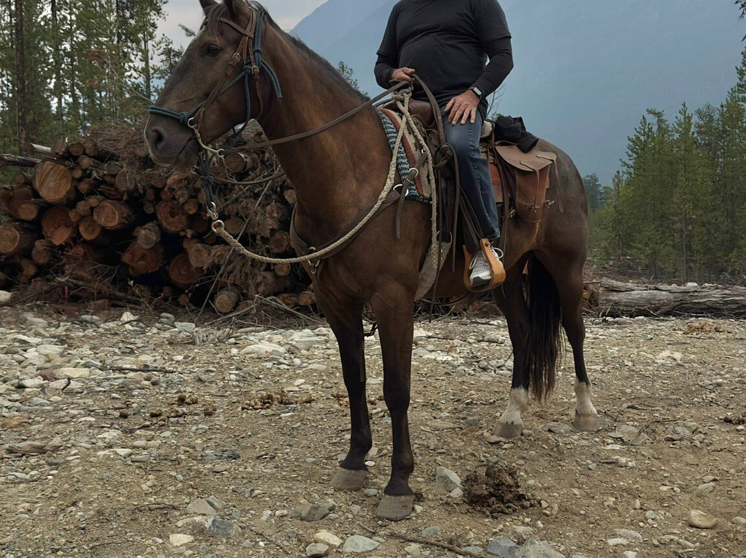 Copper Cayuse Outfitters-Pemberton必去景点