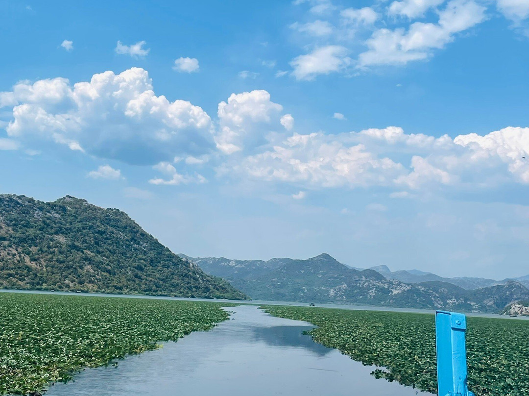 Monte Frog Boat Cruise-维尔巴札拉必去景点