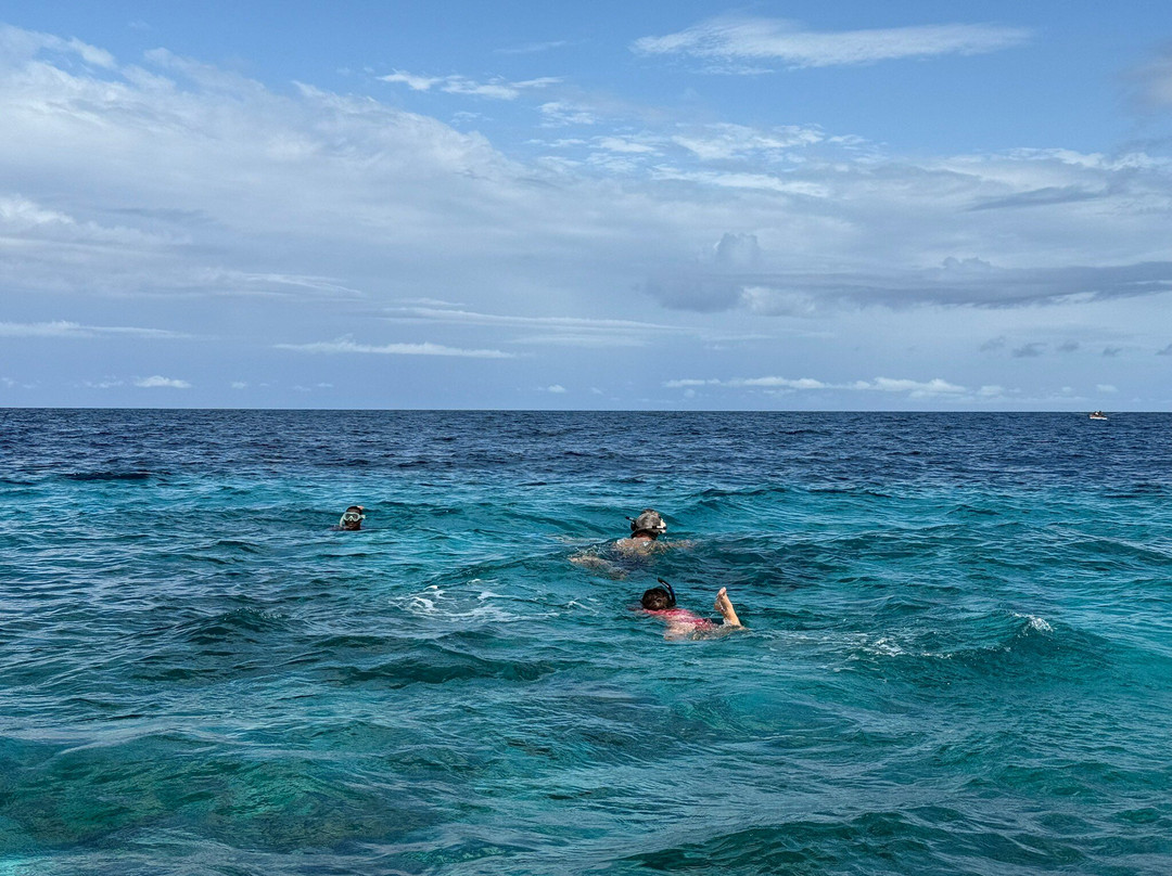 Pemba Tours-奔巴岛必去景点