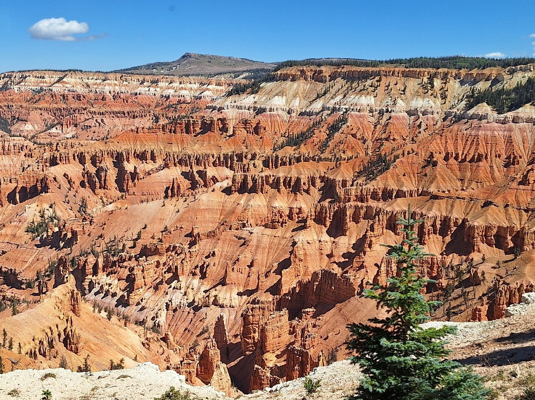 Dede's Farmhouse Cafe