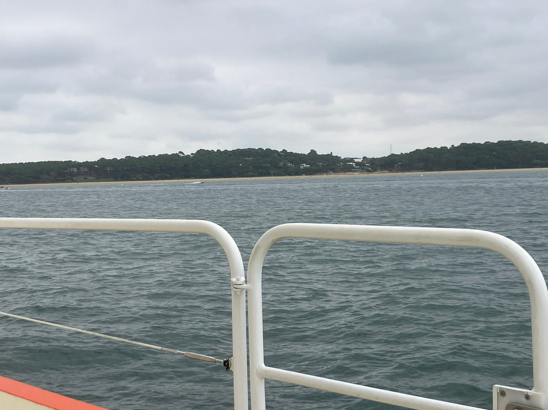 Bassin d'Arcachon-阿卡雄必去景点