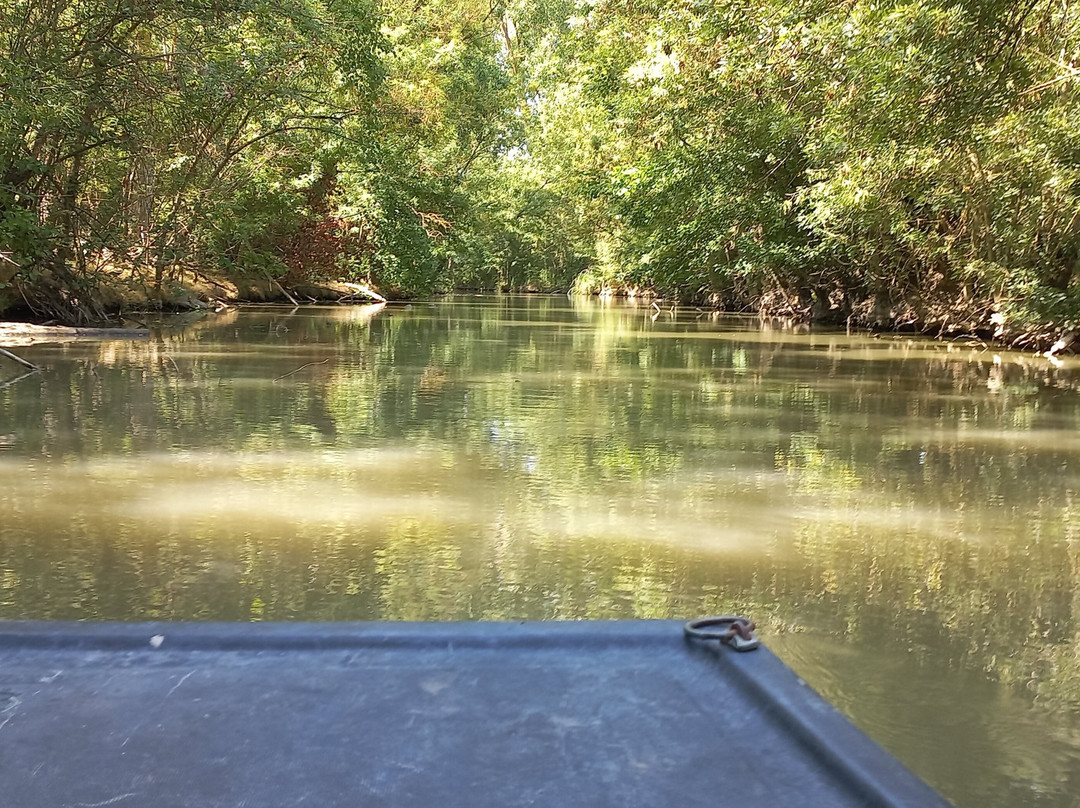 Embarcadere des Ecluses de Bazoin-La Ronde必去景点