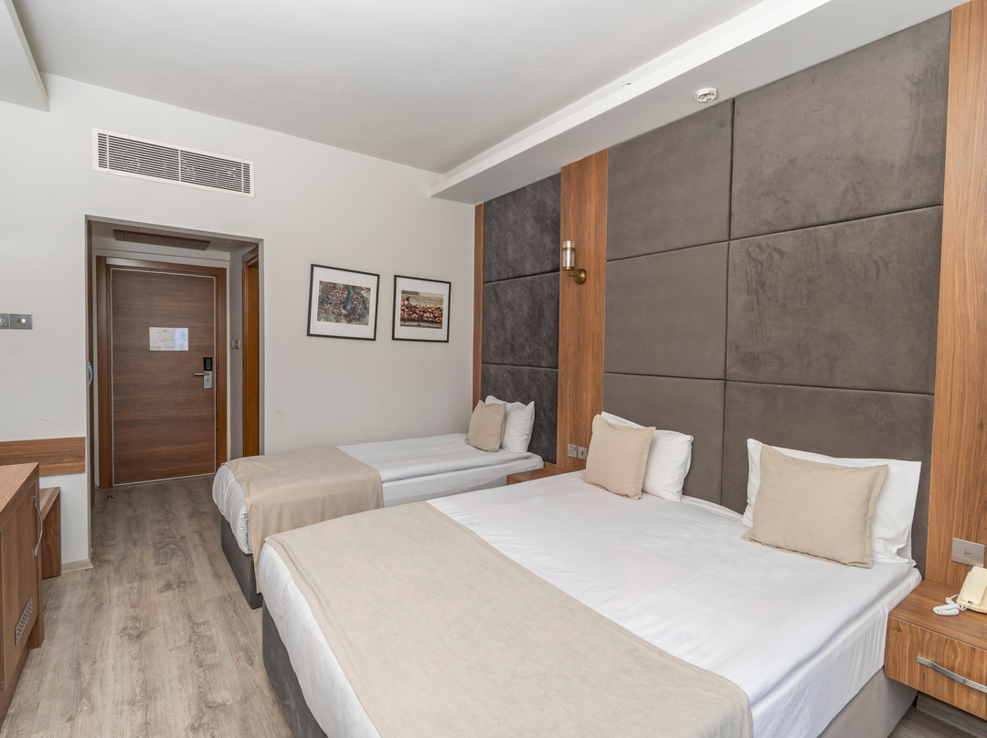 Mimoza Beach Hotel主图