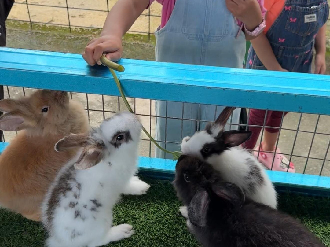 Audi Dream Farm-浮罗山背必去景点