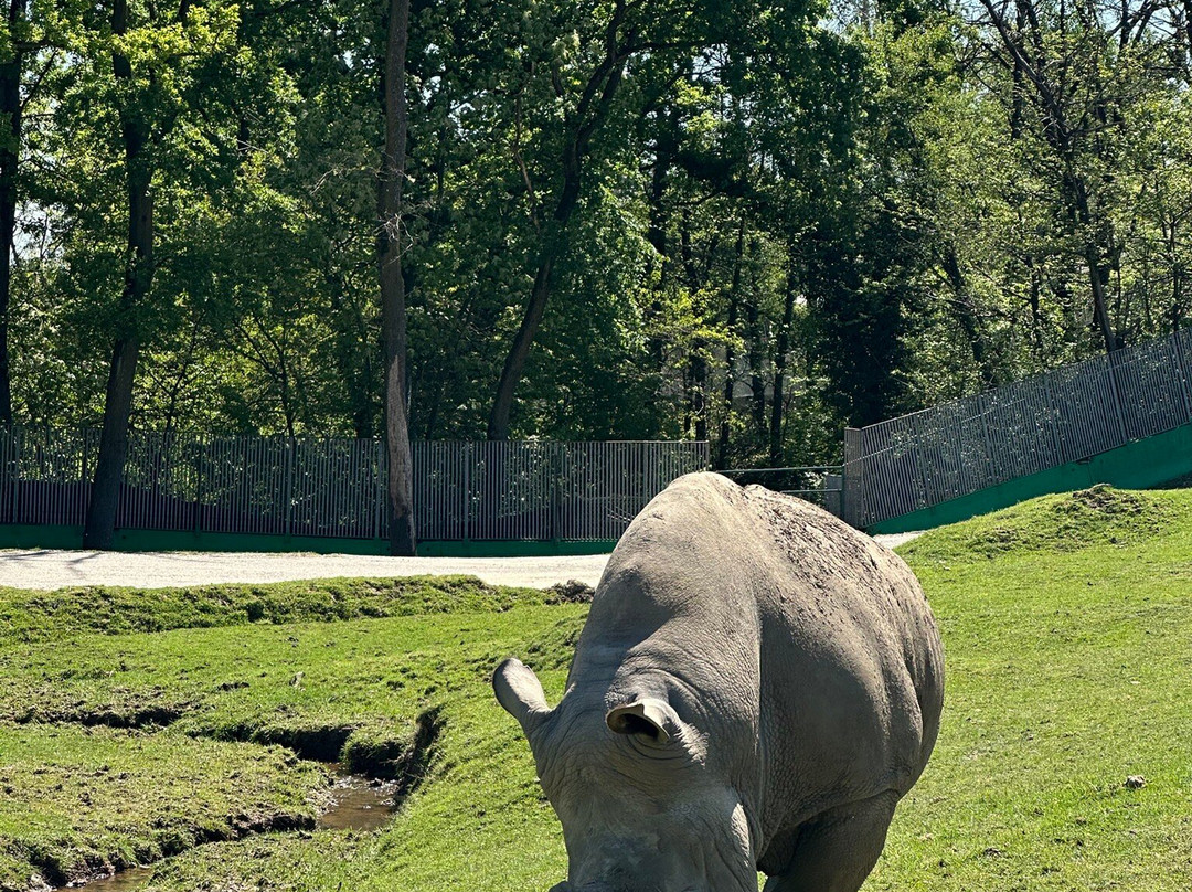 Safari Park-Pombia必去景点