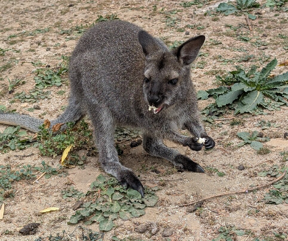 Natural'Parc-Saint-Laurent-des-Autels必去景点