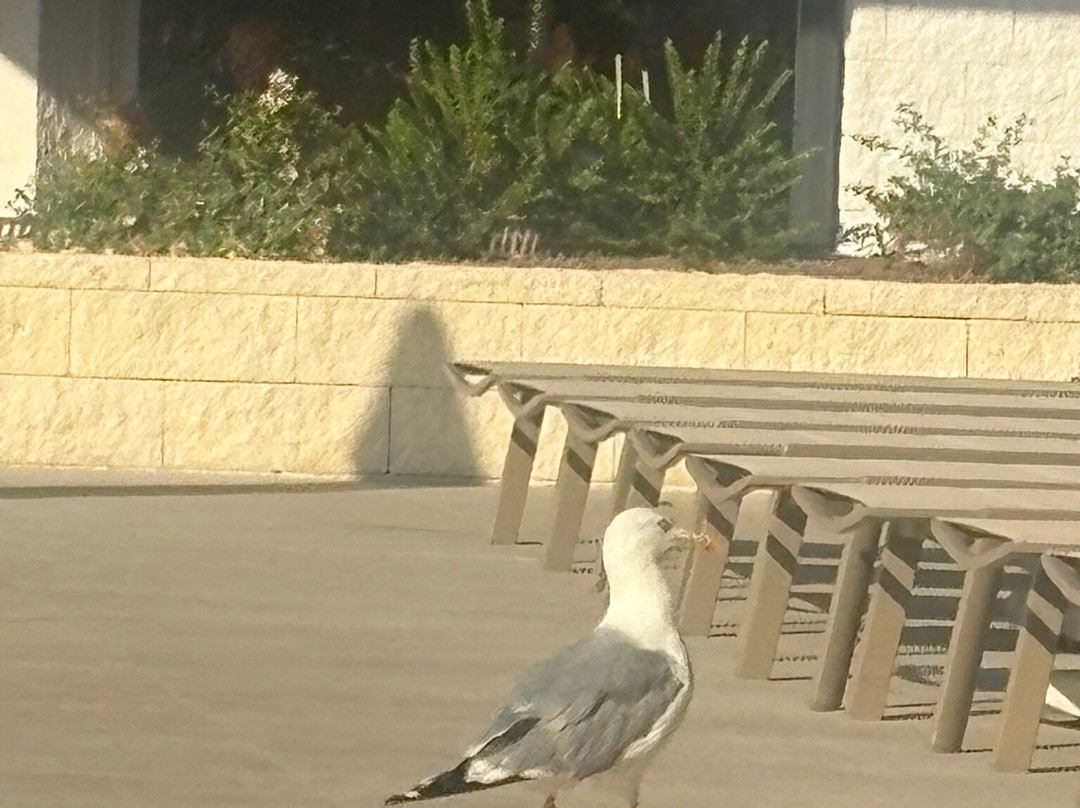 Hotel Pelegrin Plava Laguna主图