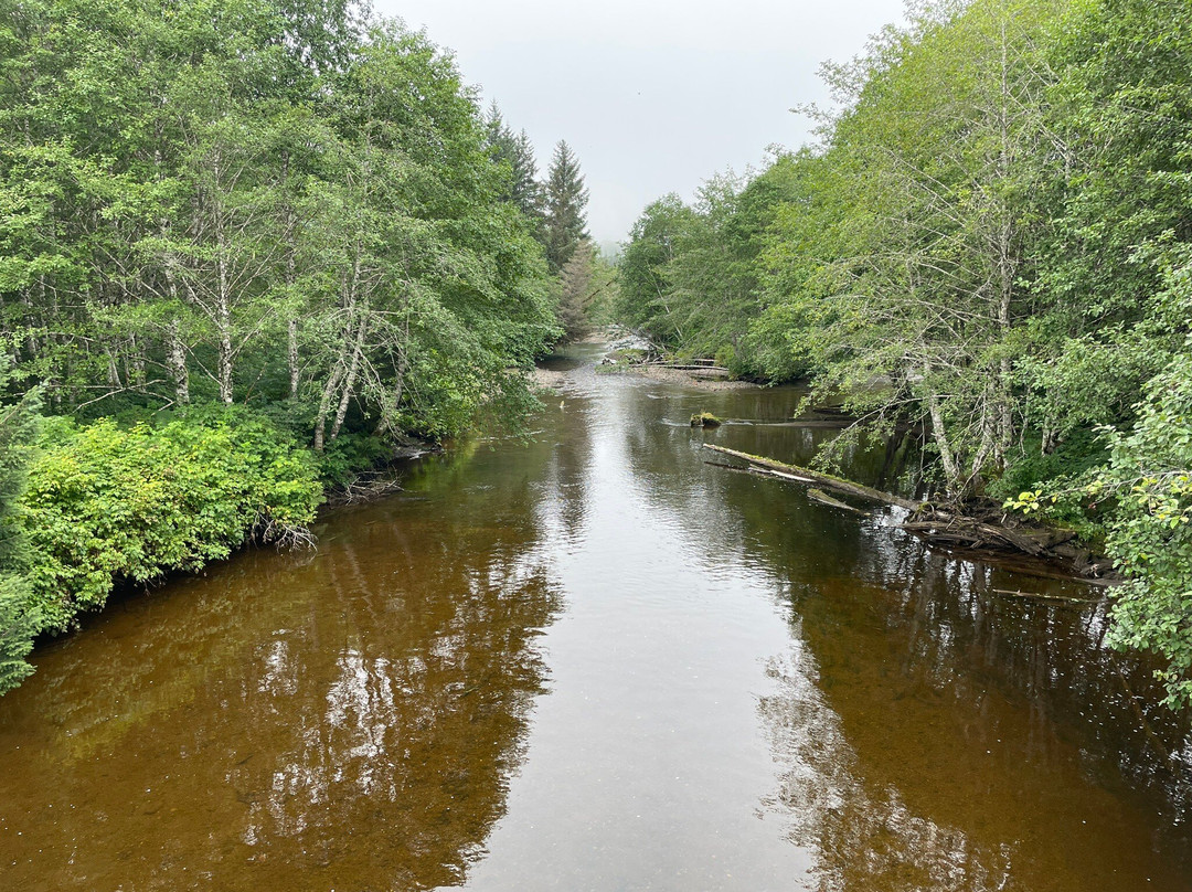 Hoonah ATV Tours-胡纳必去景点