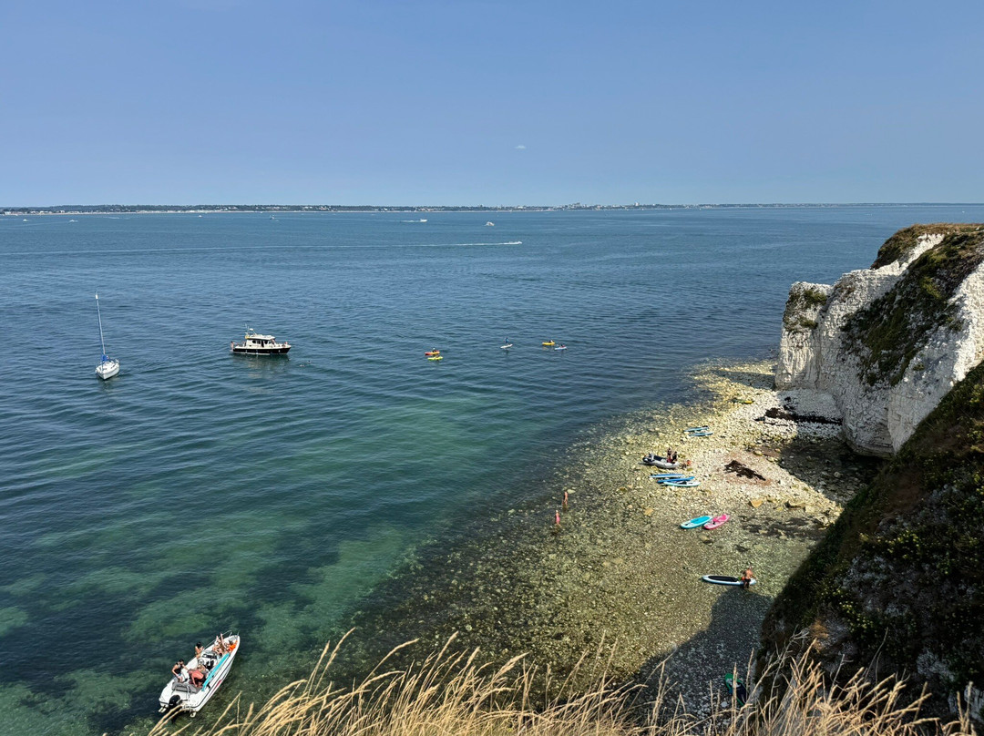 Old Harry Rocks-斯沃尼奇必去景点