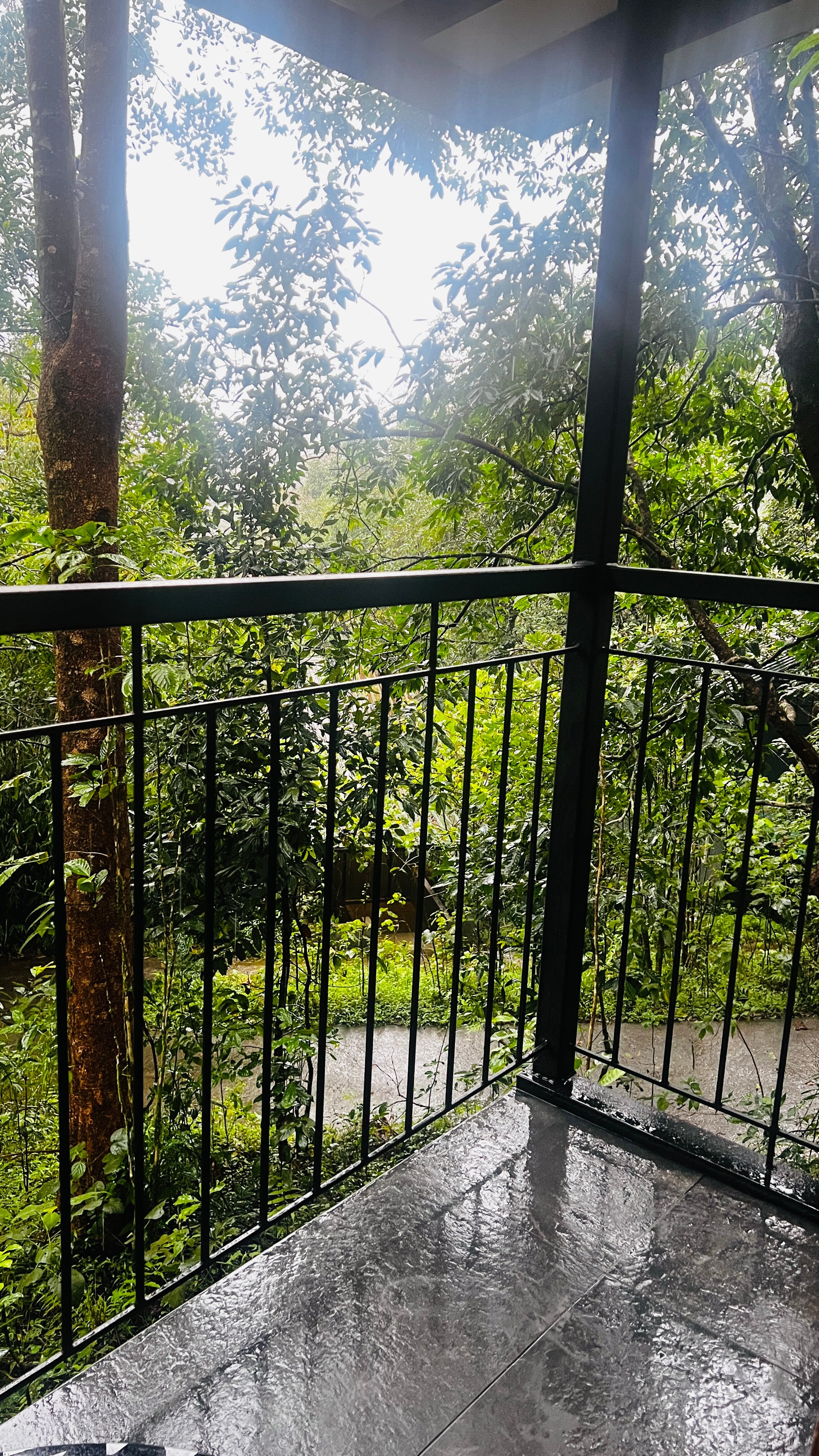 Wayanad Wild, CGH Earth-酒店景观