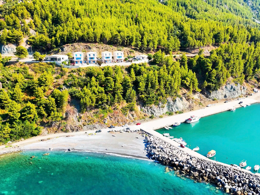 Xenia Residence主图