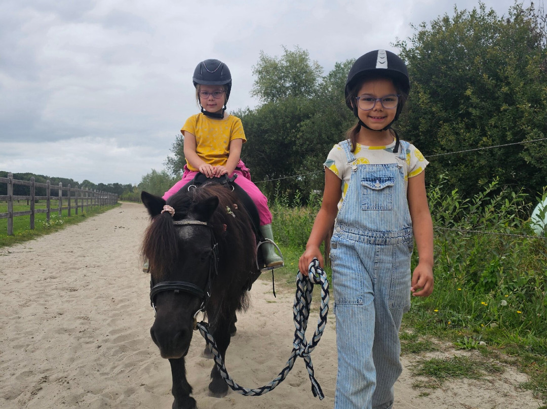 farmcamps De Smulhoeve