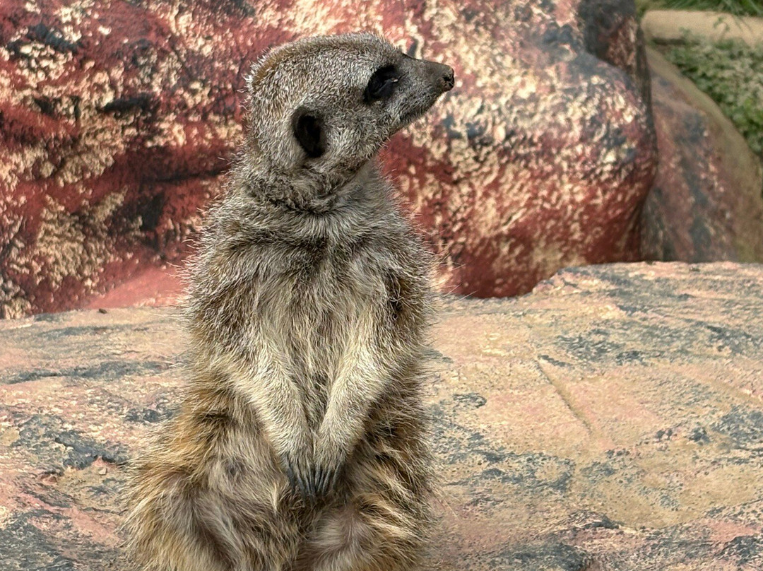 Porfell Wildlife Park & Sanctuary-利斯卡德必去景点